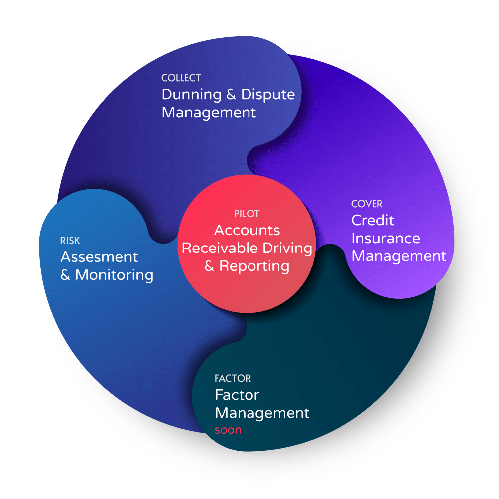 HOOPIZ modules