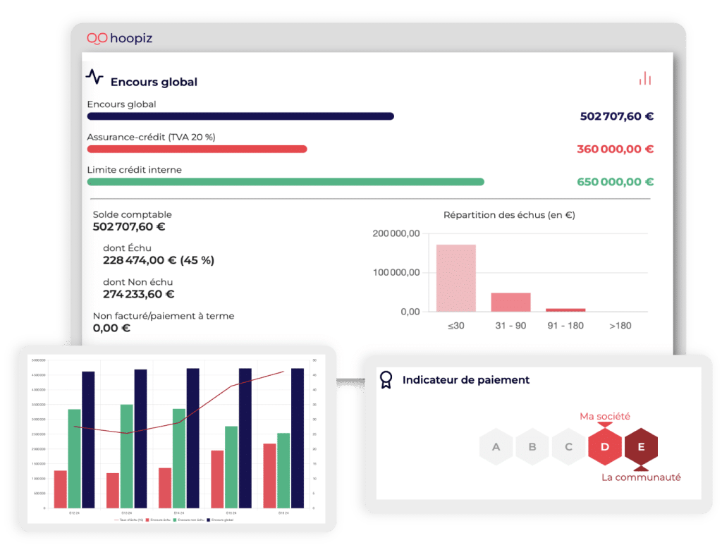 Hoopiz Credit Management widgets